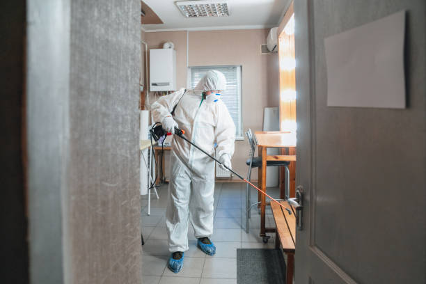 Environmental Consulting for Mold Prevention in Lagrange, GA